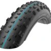 Schwalbe Jumbo Jim 26" Faltreifen - SnakeSkin - Addix Speedgrip -E-Bike Zubehör Verkauf schwalbe jumbo jim faltreifen